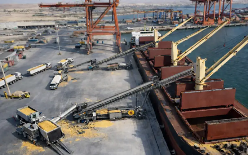 Port and Bulk Terminal Conveyors